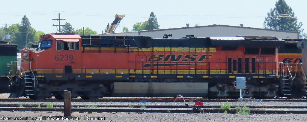 BNSF 6239